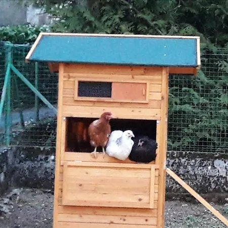 Дом отдыха 